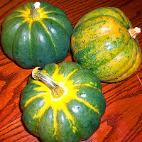 Fall Favorites: Squash  Making Squash Soup Bowls with Roma by Weston Sauce Maker & Food Strainers